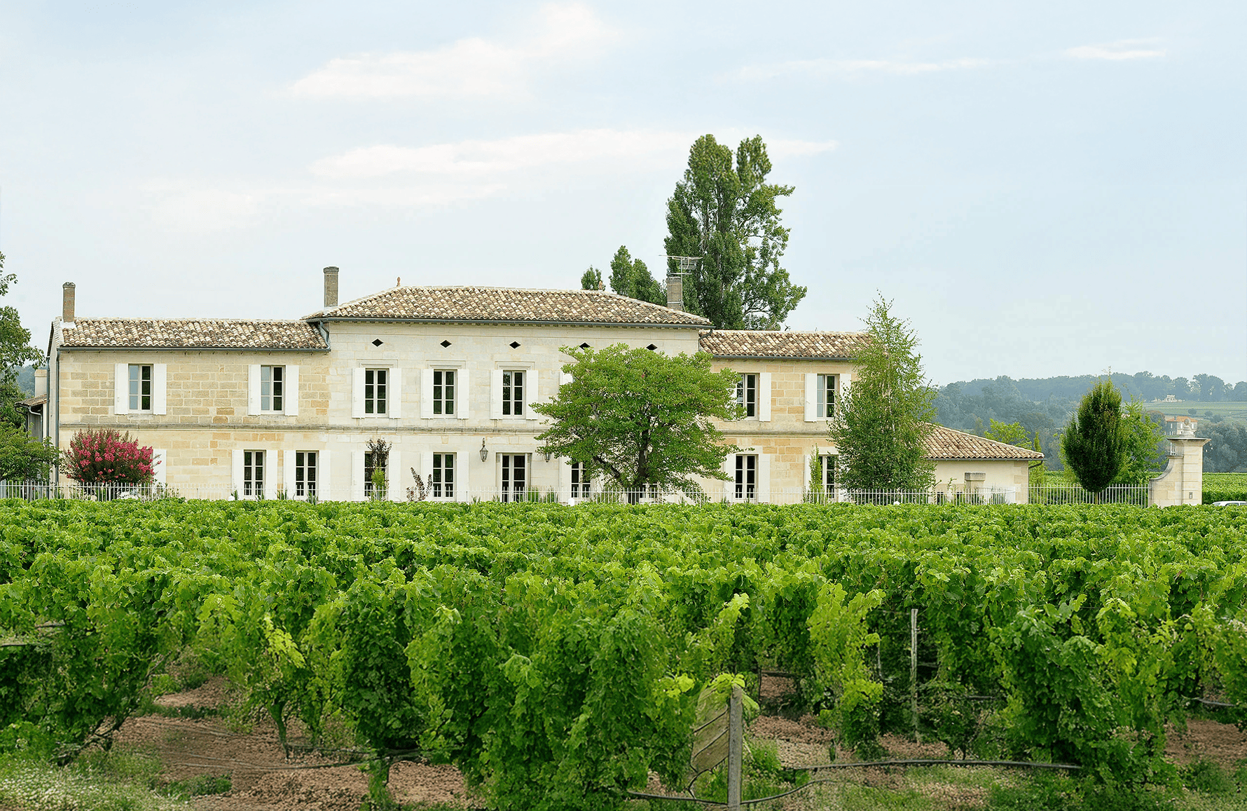Château Grand Corbin-Despagne