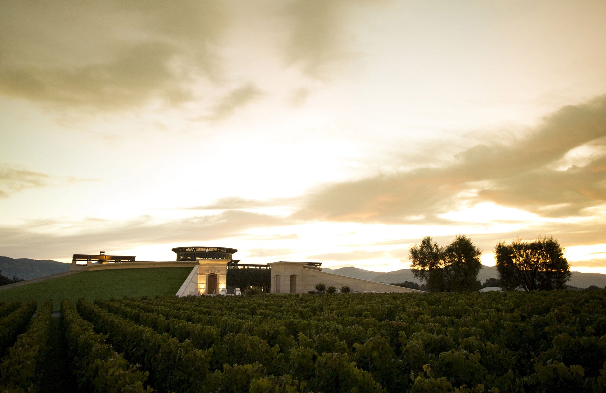 Opus One