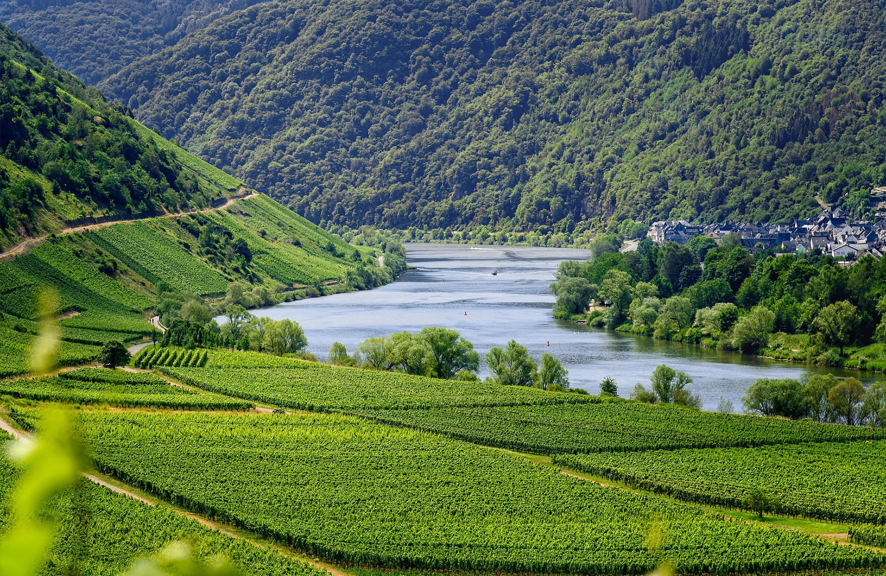the story of Alphonse Mellot Estate