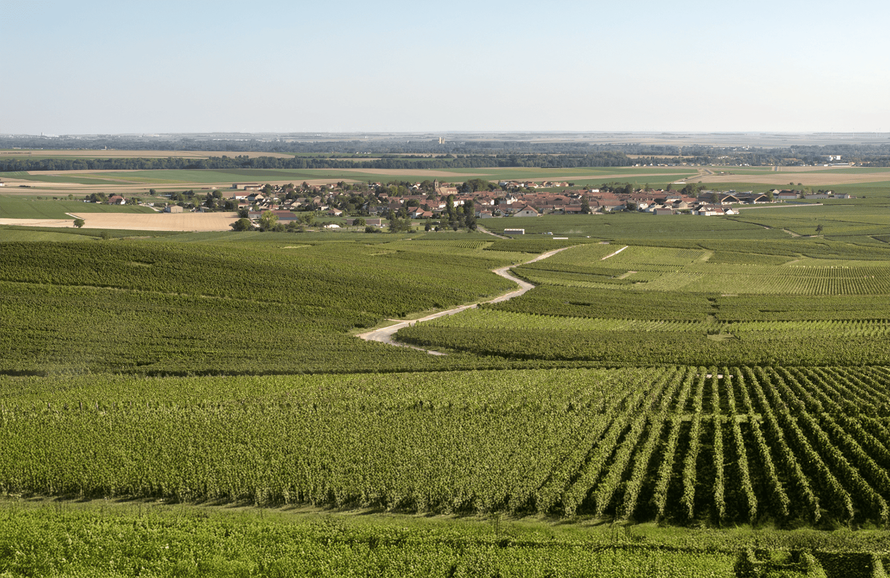 the story of Champagner Charles Heidsieck