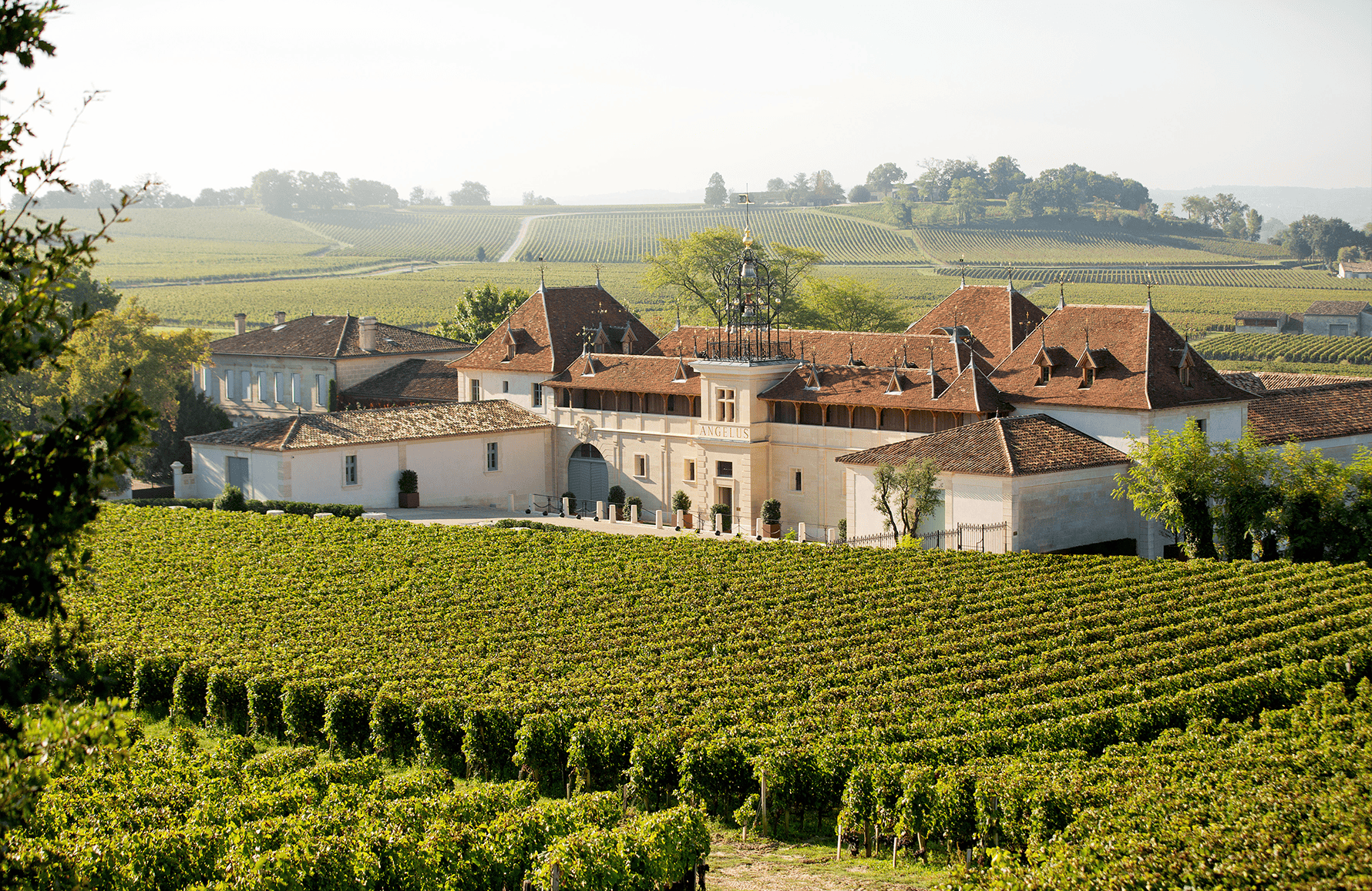 l’histoire du Château Angelus