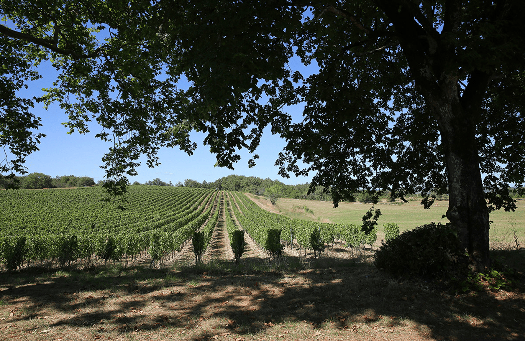 the story of Schloss Combel-la-Serre