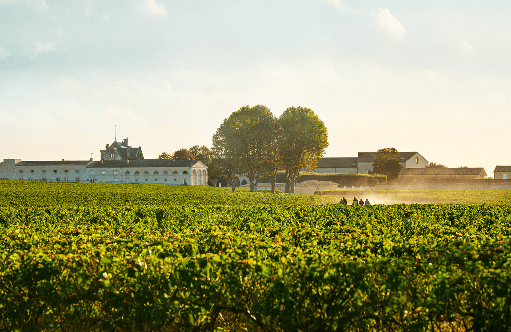die Geschichte der Château Mouton Rothschild