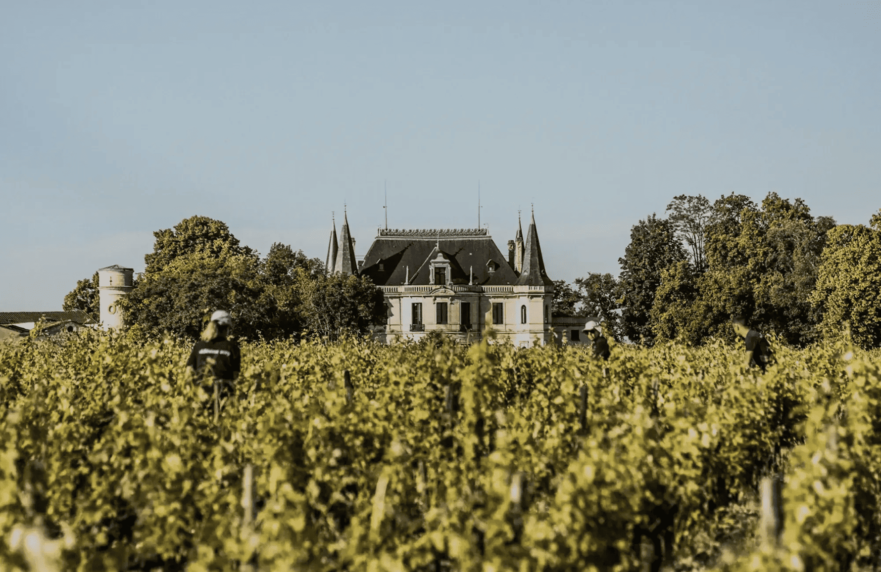 l’histoire du Château Palmer