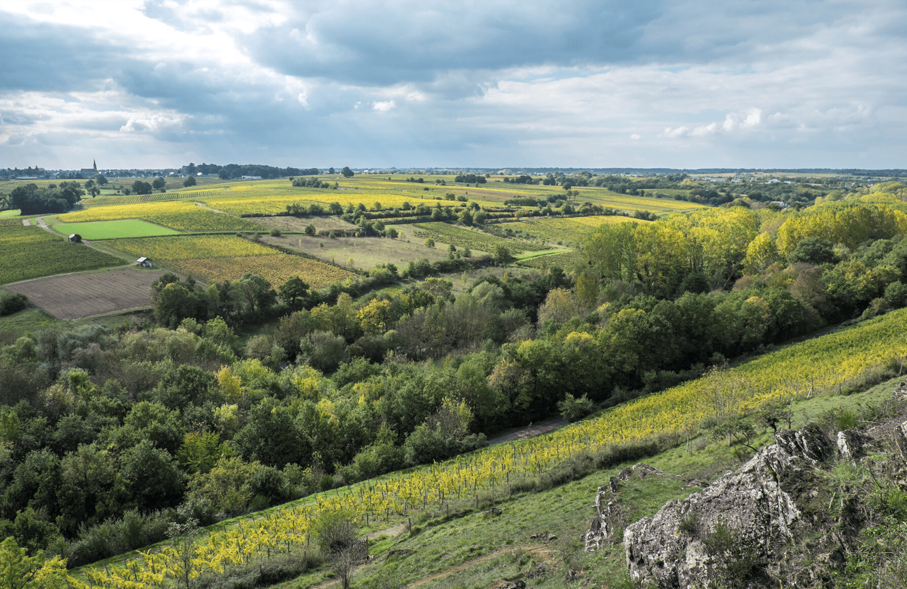 l’histoire du Domaine Belargus