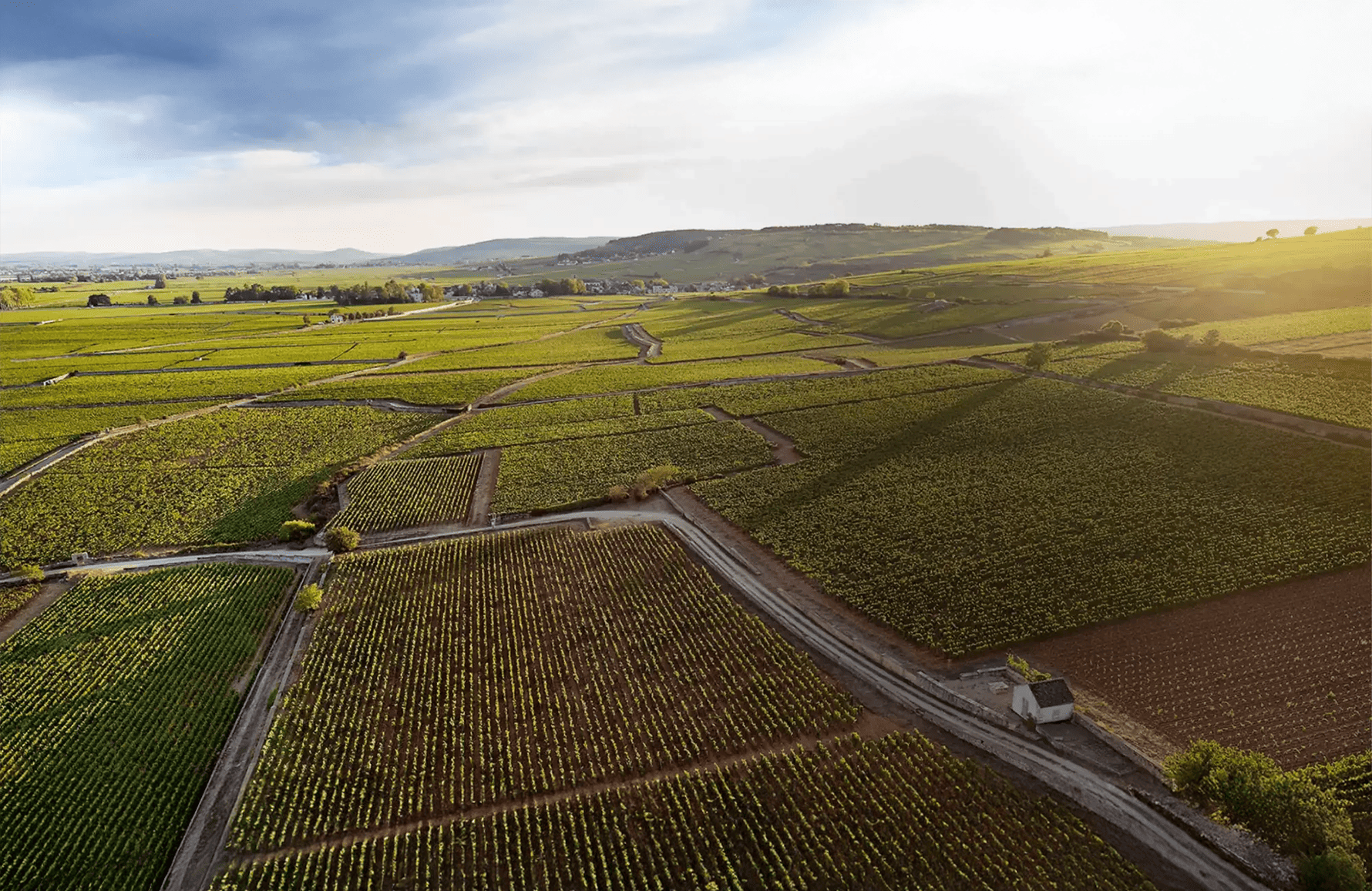 the story of Joseph Drouhin