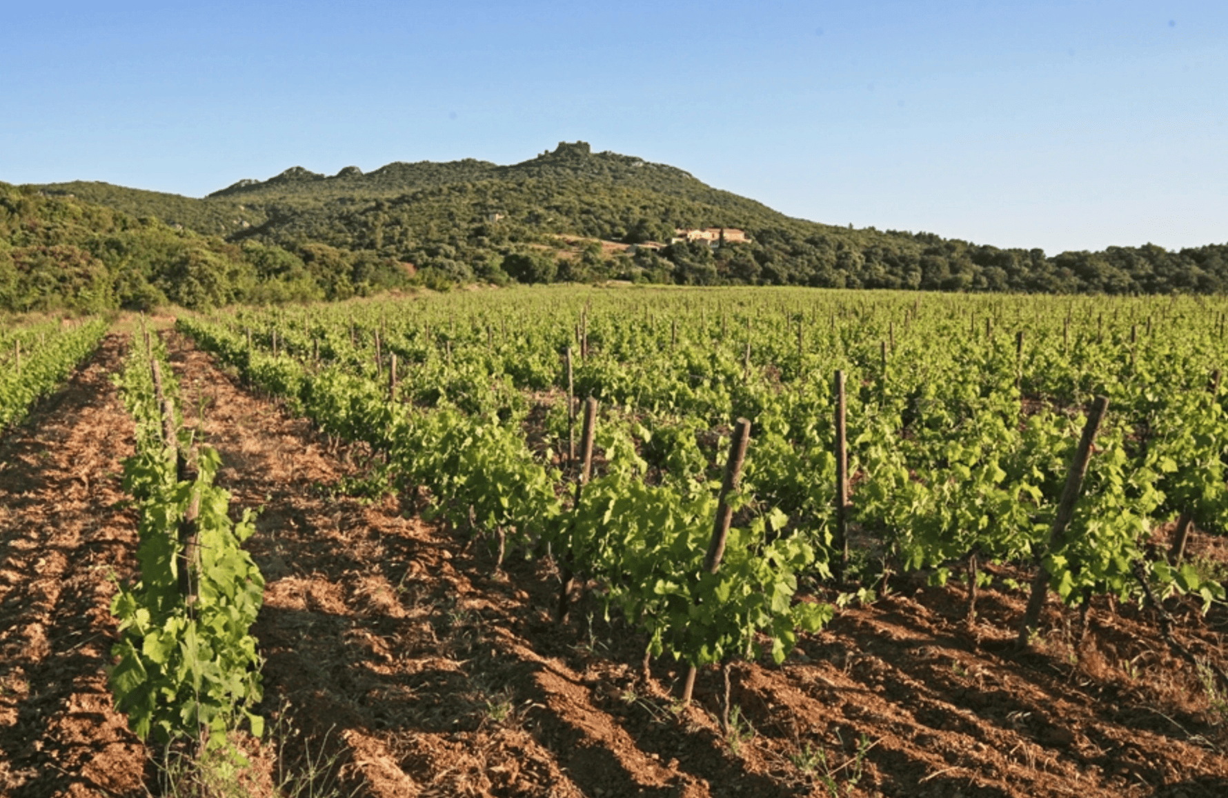 the story of Hermitage of Pic Saint Loup