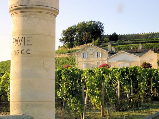 Pavie