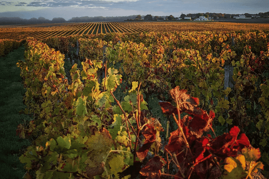 Le calendrier des Primeurs Bordeaux 2024