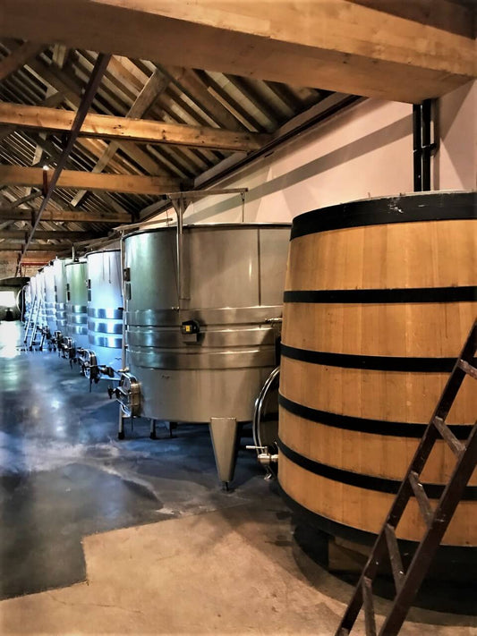 domaine-trapet-cuvier