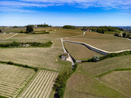 Vignoble Bordeaux