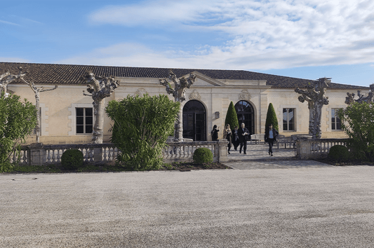 Bordeaux Primeurs 2023 : notre avis sur le millésime