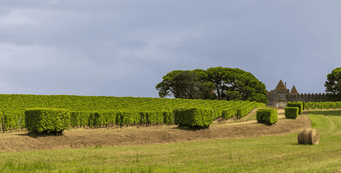 Château Yquem