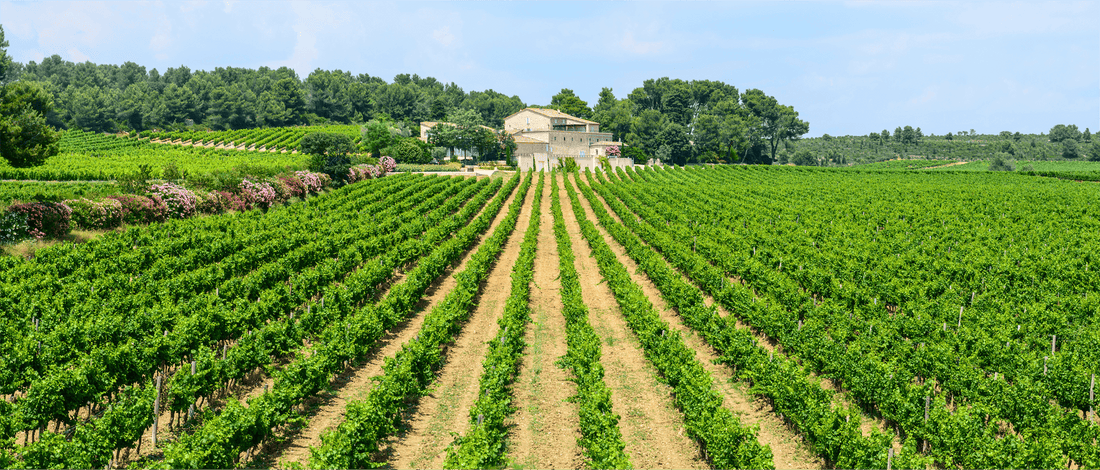 Languedoc Roussillon