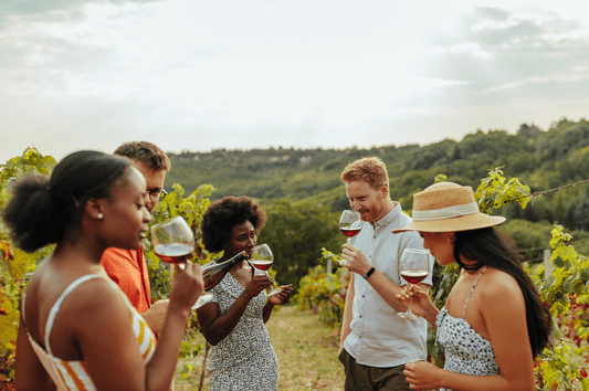 les-vins-frais-pour-ete