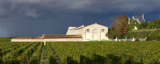 Château Mouton Rothschild Pauillac 2016