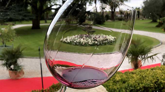 primeurs-2018-quel-vin-choisir-cavissima