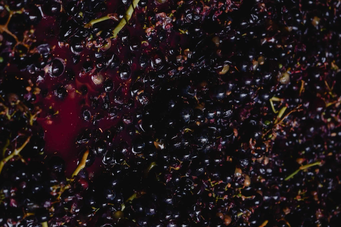 raisins rouges pressés