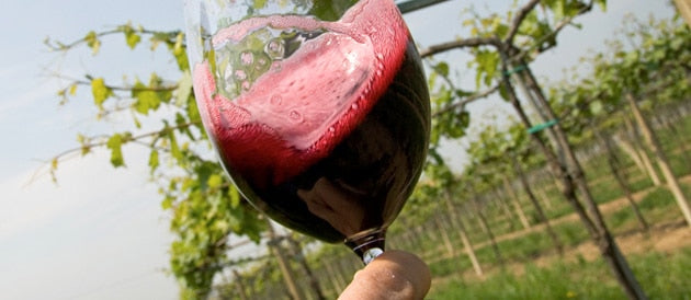 vin_primeur