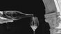 Dom Pérignon