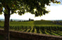 Domaine Sérol