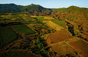 Domaine Le Clos du Serres