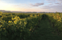 Domaine des Roches Neuves