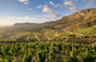 Klein Constantia - South Africa