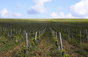 Philippe Gilbert Estate