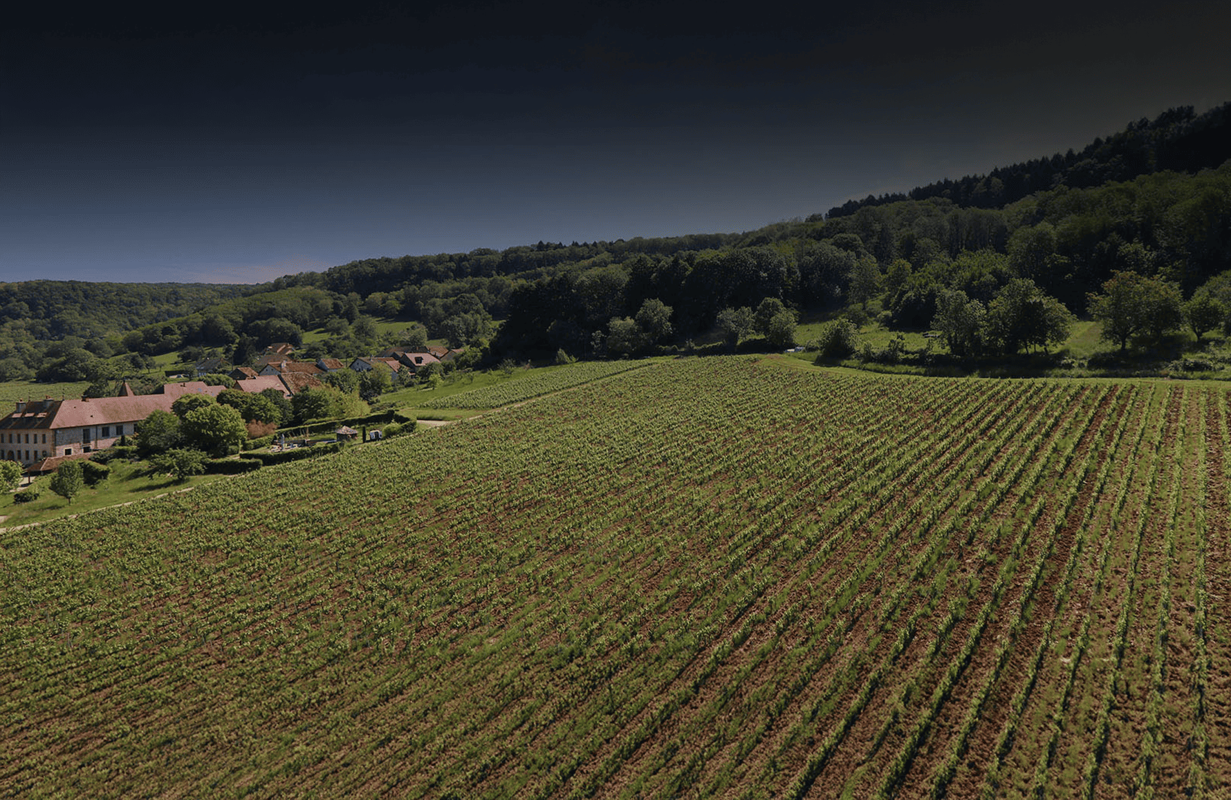 Domaine du Pélican