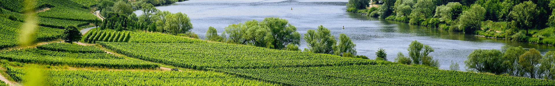 Clos Marie