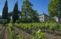 Domaine Tempier