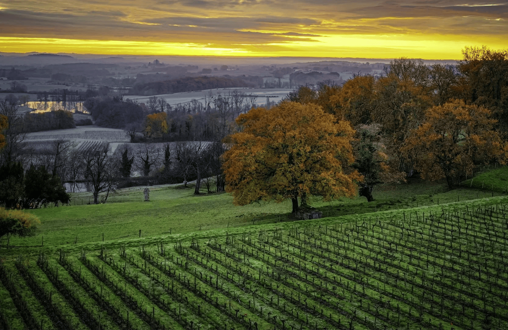 Château Le Puy