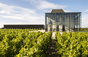 Château Pedesclaux