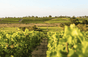 Schloss Ormes de Pez