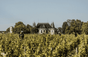 Château Palmer