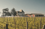 Schloss Gospel
