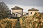 Château Larcis Ducasse