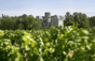 Schloss La Gurgue