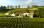 Mangot Schloss