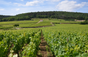 Domaine JA Ferret