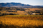 Weingut Boisson