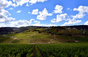 Domaine Henri & Gilles Buisson