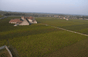 Anne Gros Estate