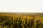 Domaine Chantal Lescure