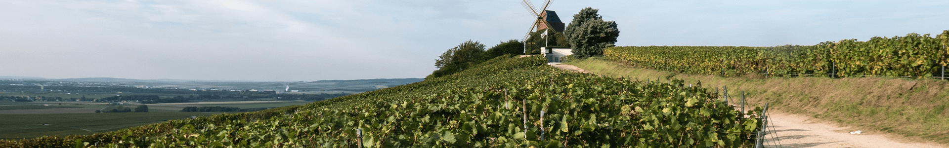 Champagne Deutz