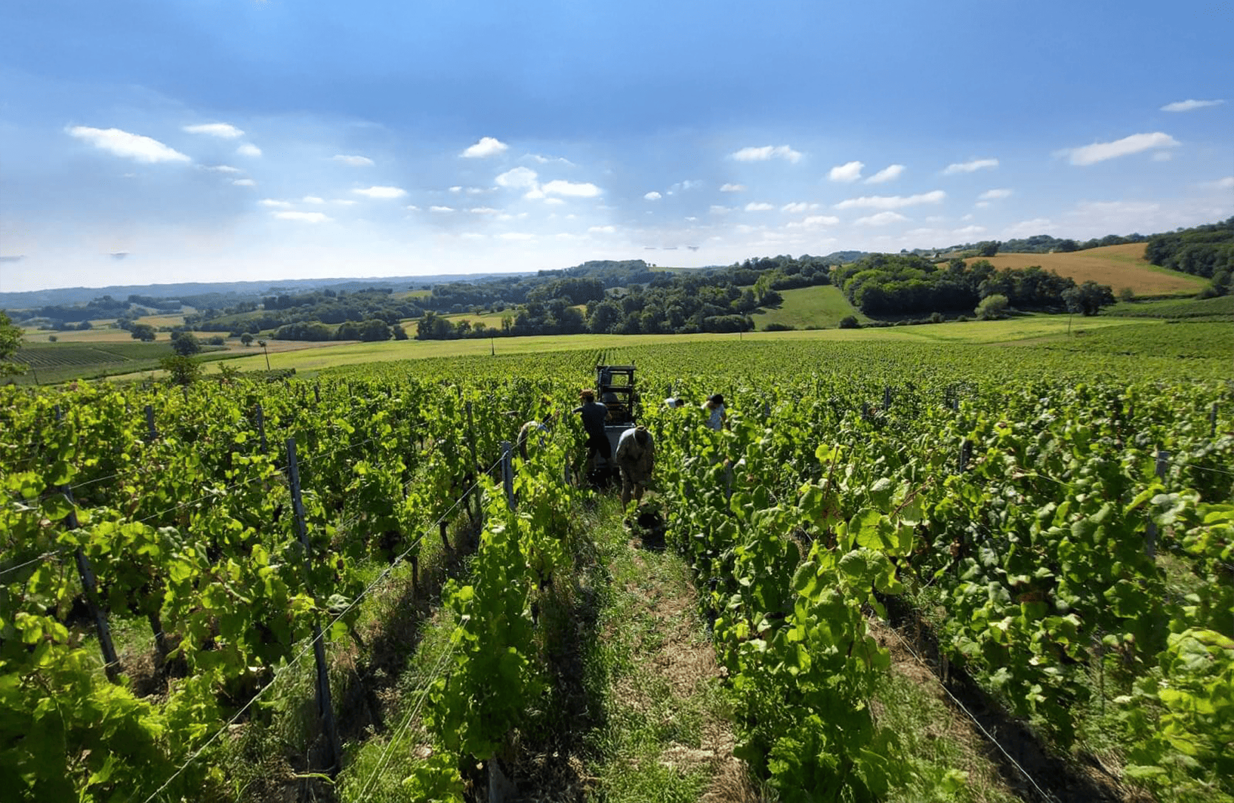 Château Aydie