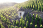 Domaine Rostaing