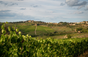 Antinori - Italie