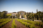 Beaucastel Castle
